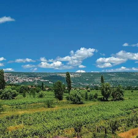 Beautiful In Vinjani Gornji With Wifi Holiday home